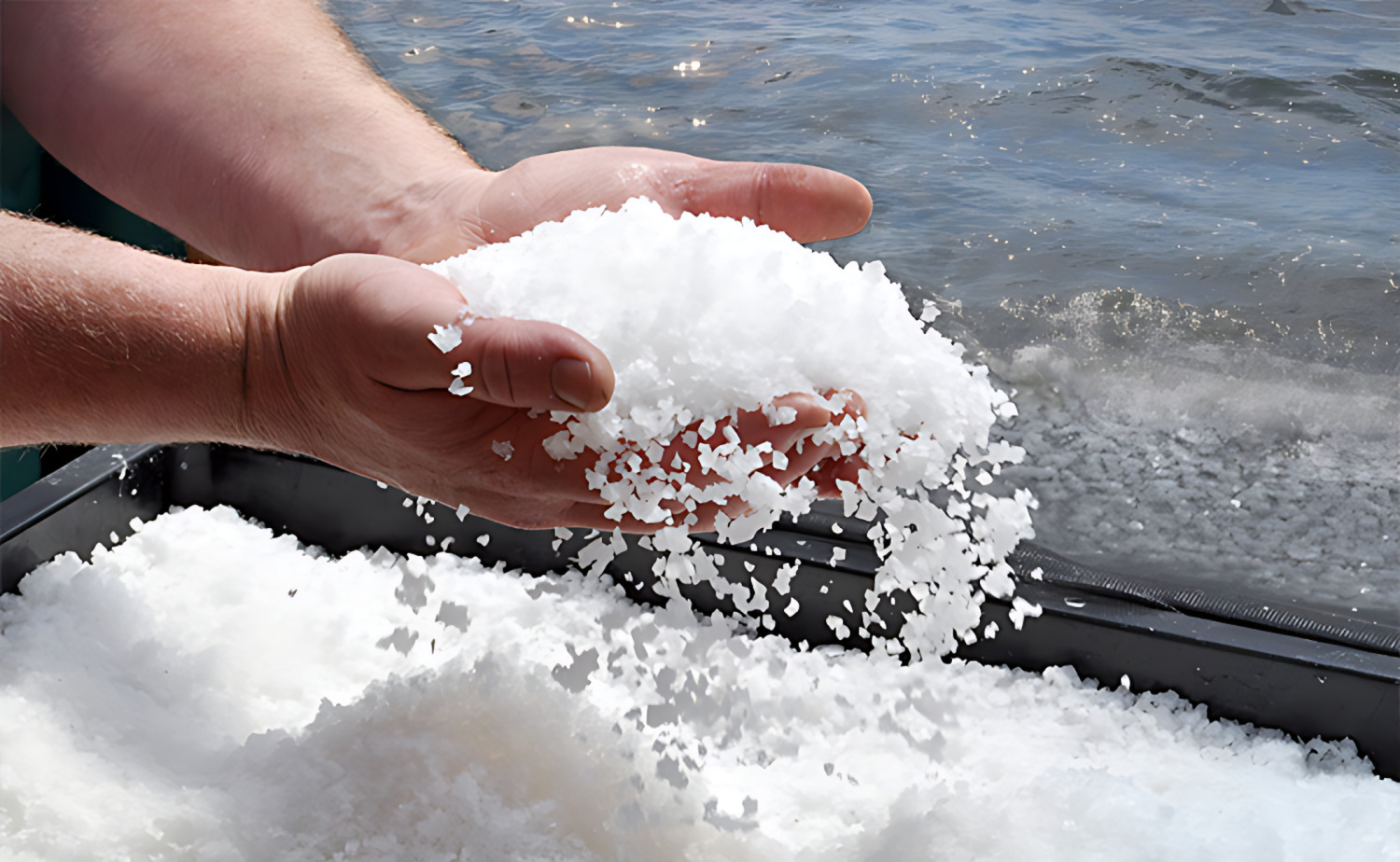 Salt